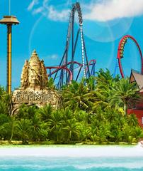 A PortAventura Vacation 202//240