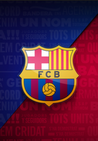 VIP FC Barcelona Tickets 195//280