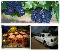 Texas Wine Country Limosine Tour for 4