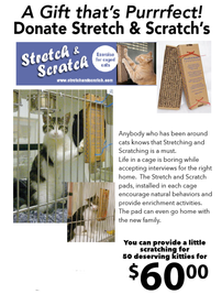 Provide a Stretch and Scratch for a Shelter Cat 202//267