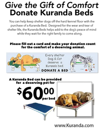 Provide a Kuranda Bed for a Shelter Dog 202//265