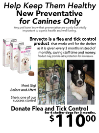 Donate Flea and Tick Control for 4 Shelter Dogs for 3 Months 202//271