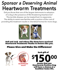 Underwrite Heartworm Treatment for a Deserving Dog 202//251