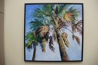 Palm Trees 202//135
