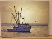 Shrimp Boat 202//151