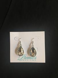 Stone and Silver EarringsPremier Designs 202//269