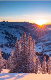 Salt Lake City Ski Getaway + Airfare! 181//280