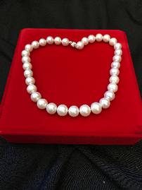 Elegant Pearls 202//269