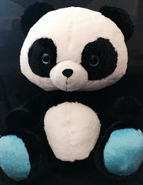 Giant panda 202//261