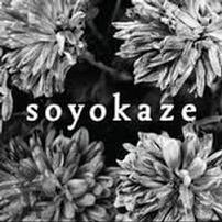 Soyokaze Gift Certificate 202//202