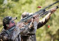 Pointer Wingshooting Argentina Dove Hunt