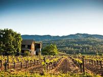 Napa Valley Getaway 