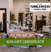 Gift certificate to Tumbleweeds Salvage 202//207