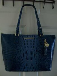 Brahmin in Blue 202//269