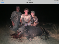 Wild Boar/Hog Hunt for Two 202//152