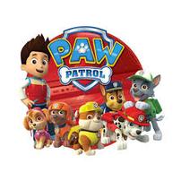 Paw Patrol and Fire Truck Fun 202//202