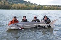 DUPLICATE-Canadian Sturgeon Fishing Expedition //0