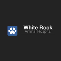 $500 in Veterinary Svcs/Pet Supplies/Boarding at White Rock Animal Hospital 202//202