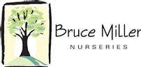 $100 Gift Certificate at Bruce Miller Nurseries 202//96