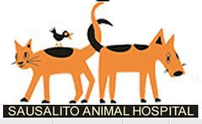 Sausalito Animal Hospital 202//124