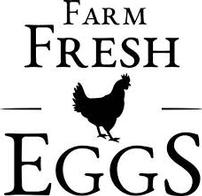 Fifty Shades of Fresh Eggs!! 202//196