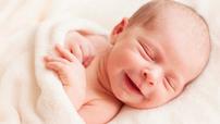 Newborn Sleep Consultation 202//114
