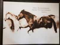 Inspirational Horse Canvas 202//151