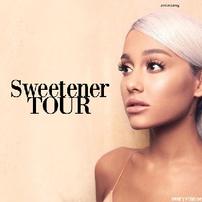4 Platinum Level Tickets to May 21 Ariana Grande Concert + Parking Pass 202//202