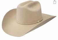 Cowboy brown hat 202//140