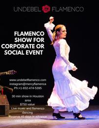 Flamenco show 202//262