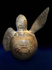 "Birthday" A Hand-carved wooden hatching turtle by James Phillips