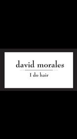 David Morales Salon 157//280