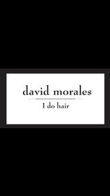 David Morales Salon 157//280