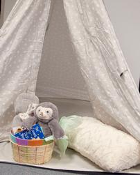 Pillowfort Teepee Set 202//251