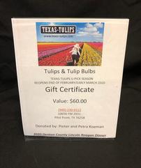 Texas-Tulips 202//241