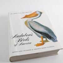 Audubon's Birds of America Book: The Audubon Society Baby Elephant Folio 202//202