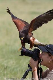 Half-day Photo Instruction with Kathy Adams Clark