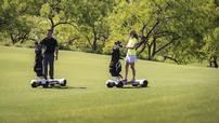 VIP Golf Instruction, round for 2 & stay at Four Seasons Resort & Club Dallas 202//114