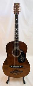 Hank Williams Jr. Acoustic Guitar 109//280