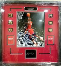 Framed Autographed Michael Jordan 202//219