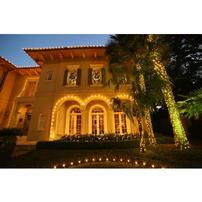 Ignite Christmas Lighting Gift Certificate 202//202