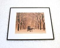 Winter in Central Park signed photo print 202//162