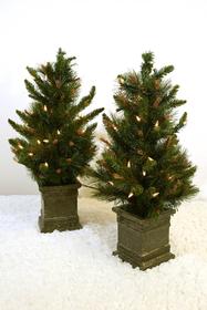 Pair of small Christmas Trees in Pots 187//280