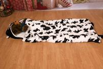 Cow Design Sleeping Bag 202//135