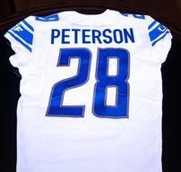 Adrian Peterson Lions Jersey 202//192