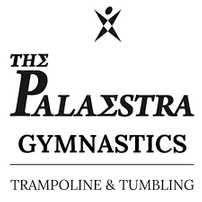 Palaestra Gymnastics One Month of Class Tuition (4 Classes) 202//202