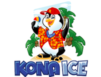 Big D Kona Ice Birthday Party Package - Unlimited Snow Cones for up to 30 kids 202//154