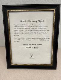 Scenic Flight 202//264