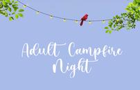 Adult Campfire Night 202//130