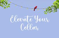 Elevate Your Cellar 202//130